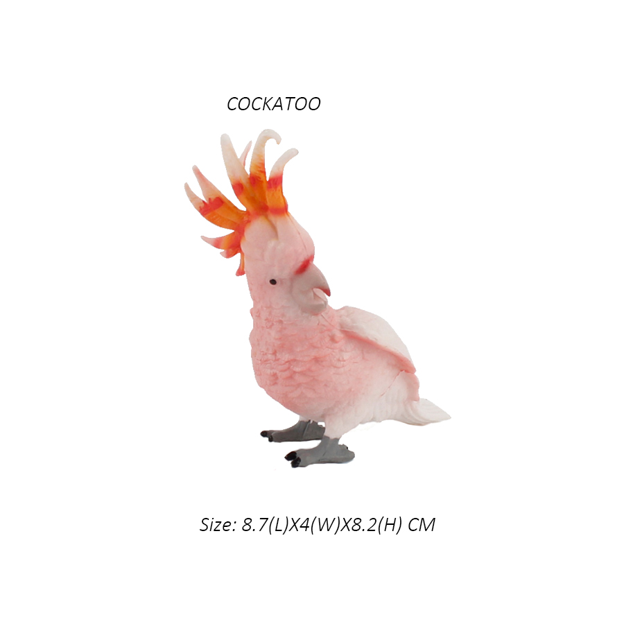 Owl Flamingo Turkey Toucan Sea - Kids Toys Under 1 Year review and price