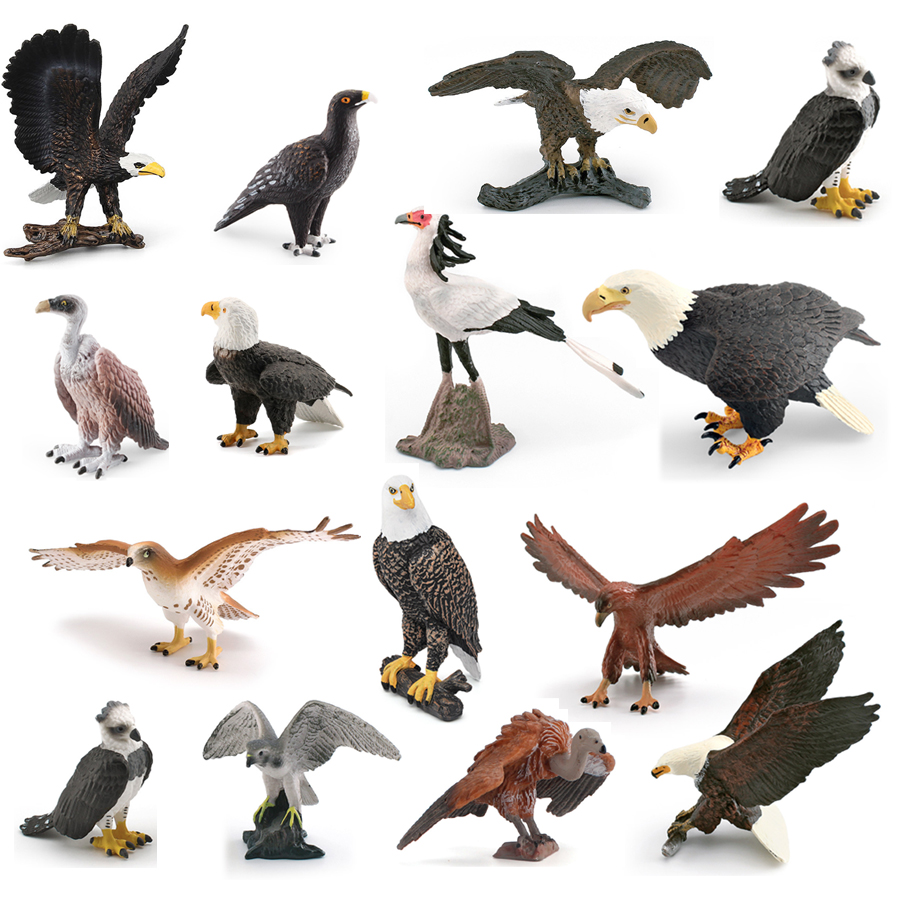 Realistic Wildlife Animal Bird - Kids Toys Under 1 Year review and price