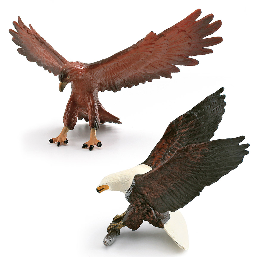 Realistic Wildlife Animal Bird - Kids Toys Under 1 Year review and price