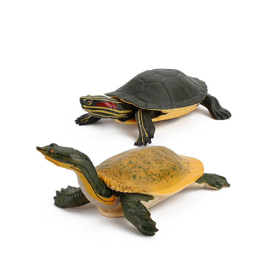 Simulation Chinese Softshell L - Kids Toys Under 1 Year review and price