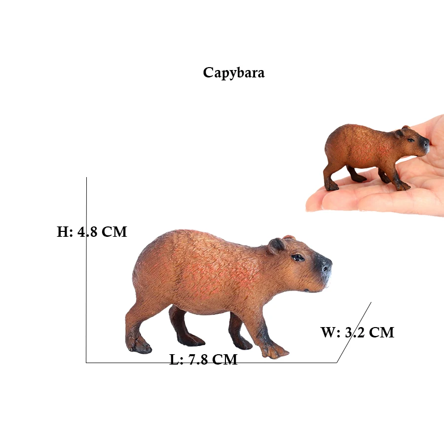Capibara Capybaras Squirrel Ma - Kids Toys Under 1 Year review and price