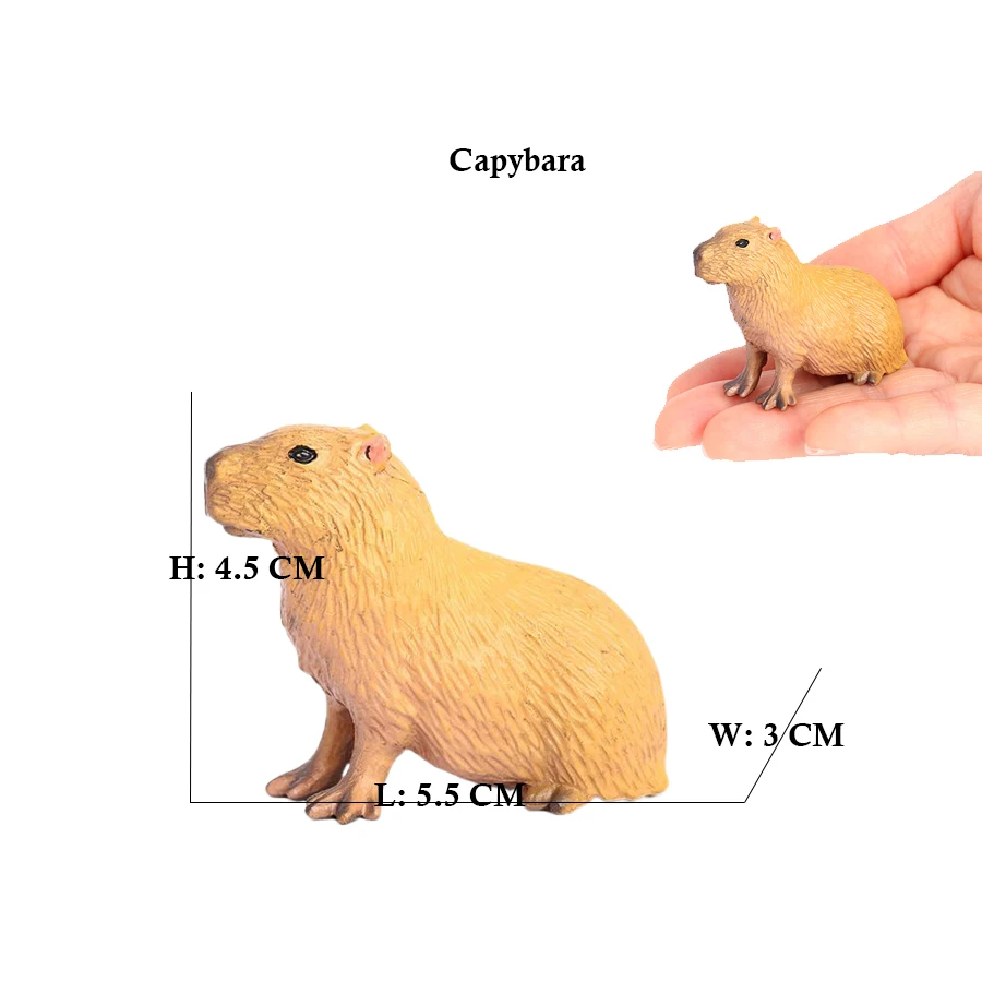 Capibara Capybaras Squirrel Ma - Kids Toys Under 1 Year review and price