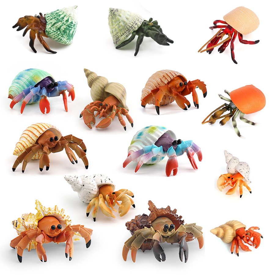 Realistic Hermit Crab Figurine - Kids Toys Under 1 Year review and price